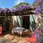 Lei Souco